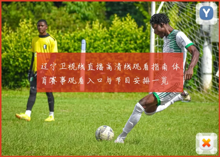 辽宁卫视线直播高清线观看指南 体育赛事观看入口与节目安排一览