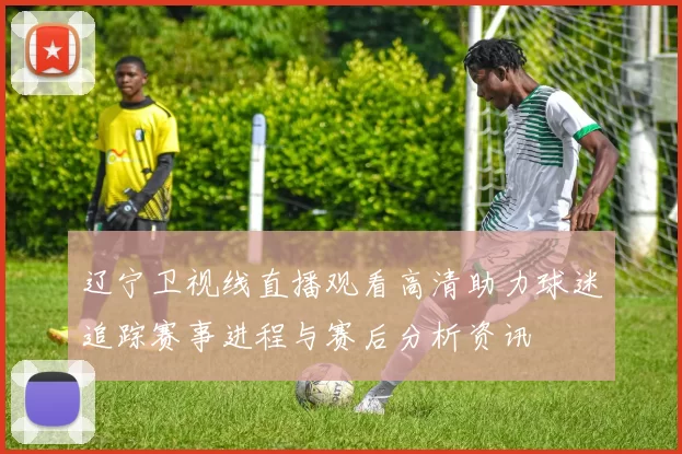 辽宁卫视线直播观看高清助力球迷追踪赛事进程与赛后分析资讯