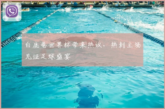 白鹿巷世界杯带来热议，热刺主场见证足球盛宴